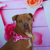 Thumbnail photo of Abilene JuM #2