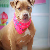 Thumbnail photo of Abilene JuM #3