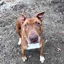 Thumbnail photo of Napa #1