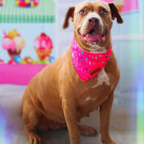 Thumbnail photo of Abilene JuM #4