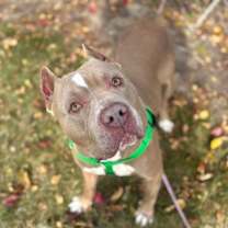 Thumbnail photo of Moto #1