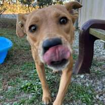 Thumbnail photo of JOLLY/URGENT #2