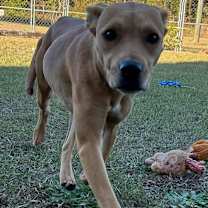 Thumbnail photo of JOLLY/URGENT #3