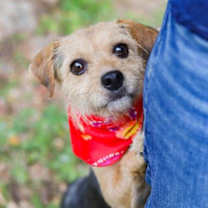 Thumbnail photo of Bro Bro #2