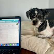 Thumbnail photo of Benji Magoo #2