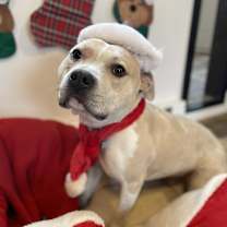 Thumbnail photo of Neutron #3