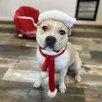 Thumbnail photo of Neutron #2