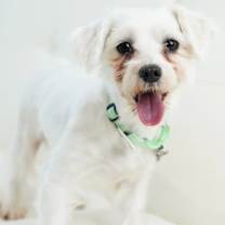 Thumbnail photo of Annalise #1