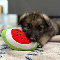 Thumbnail photo of Jamie #1