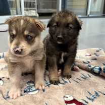 Thumbnail photo of Jamie #2