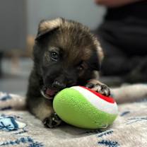 Thumbnail photo of Jamie #3