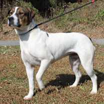 Thumbnail photo of Aura 42797 #2