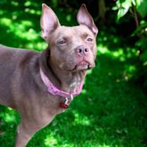 Thumbnail photo of Nora #2