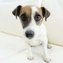 Thumbnail photo of Caterina #1