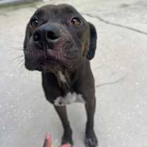 Thumbnail photo of Betty #3