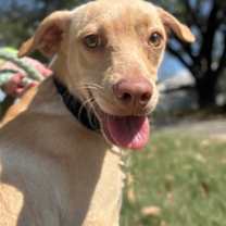 Thumbnail photo of Silly String #3