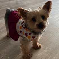 Thumbnail photo of Diamond #4