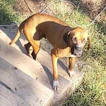 Thumbnail photo of Rita #4