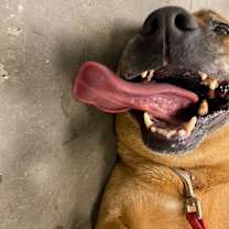 Thumbnail photo of Nahme #2