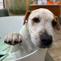 Thumbnail photo of Marvin Gaye #3