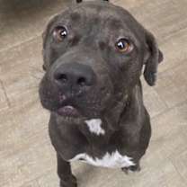 Thumbnail photo of Betty #1