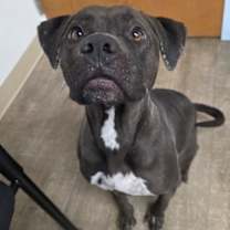 Thumbnail photo of Betty #2