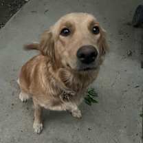 Thumbnail photo of Emma #1