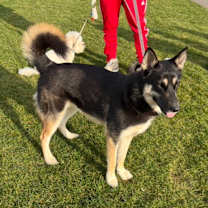 Thumbnail photo of Truffle #1