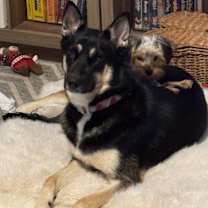 Thumbnail photo of Truffle #3