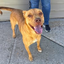 Thumbnail photo of Annie #1