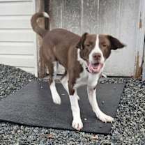 Thumbnail photo of Gregory #4