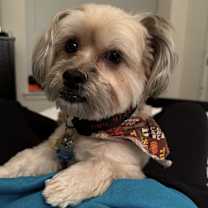 Thumbnail photo of Theo #1