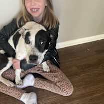 Thumbnail photo of Lilo #3