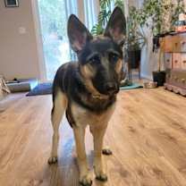 Thumbnail photo of Allie Bea #1