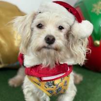 Thumbnail photo of Salmon #1