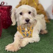 Thumbnail photo of Salmon #3