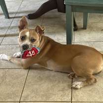 Thumbnail photo of Dawn #3