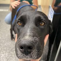 Thumbnail photo of Janet #1