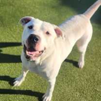 Thumbnail photo of K’jay #1