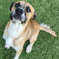 Thumbnail photo of Oso #2