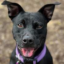 Thumbnail photo of Lopez #1