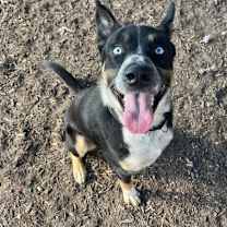 Thumbnail photo of Blink #1