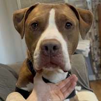 Thumbnail photo of Mojo #2