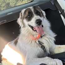 Thumbnail photo of 16403 #1