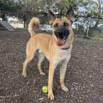 Thumbnail photo of Radar #2