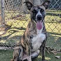 Thumbnail photo of Tanya #1