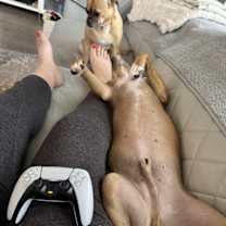 Thumbnail photo of Bear #3