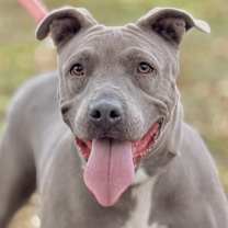 Thumbnail photo of Diamond #2