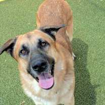 Thumbnail photo of Sam Winchester #1