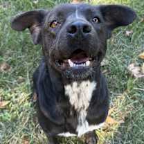 Thumbnail photo of Peaches #3